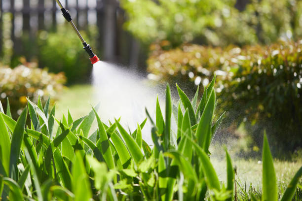 24/7 Emergency Wasp Removal experts in Johnston, SC