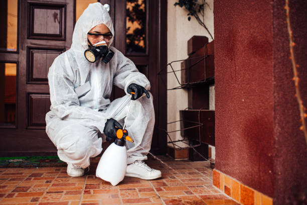 Reliable Wasp Removal contractor in Johnston, SC by Show Me Pest Control
